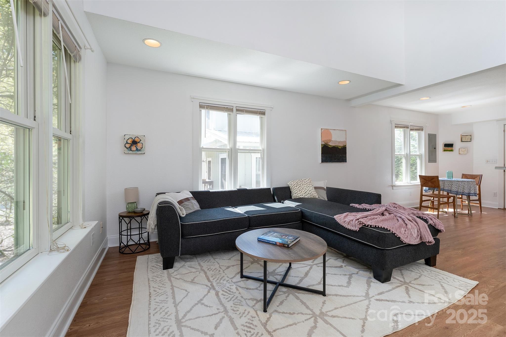 19 Castle Street Asheville NC 28803