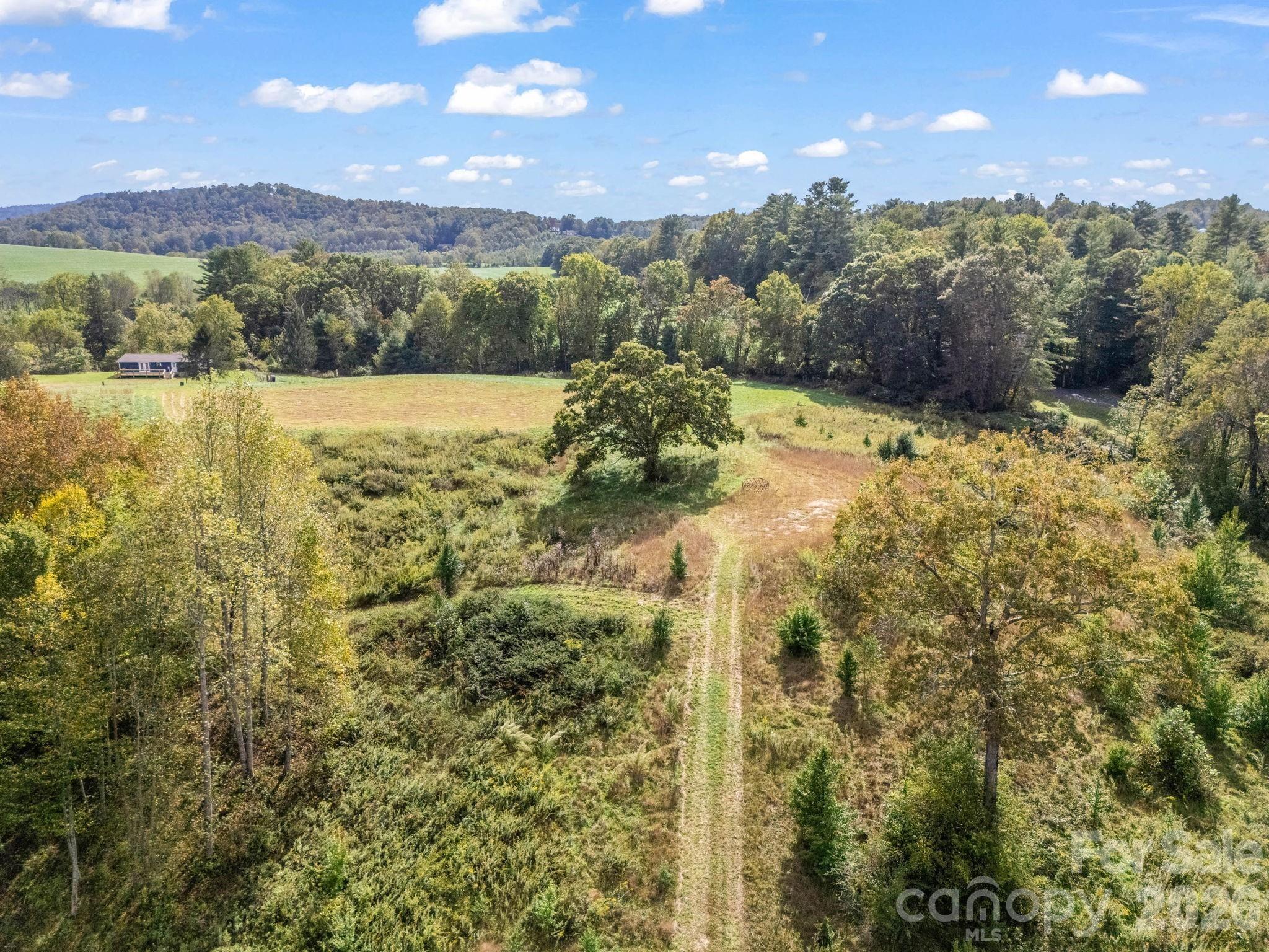 128 Cook Lane Mills River NC 28759