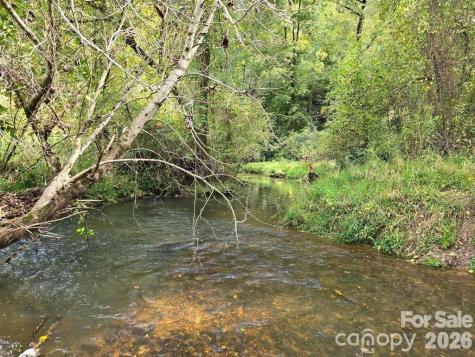128 Cook Lane Mills River NC 28759