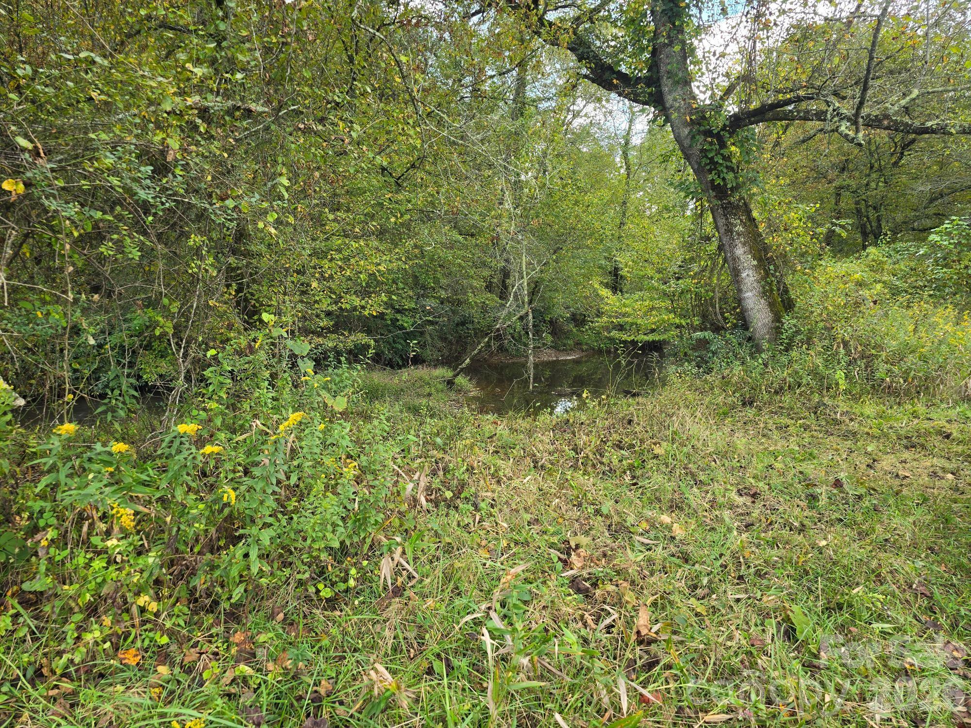 128 Cook Lane Mills River NC 28759