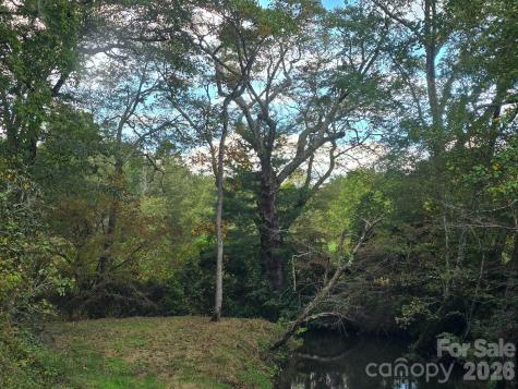 128 Cook Lane Mills River NC 28759