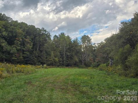 128 Cook Lane Mills River NC 28759