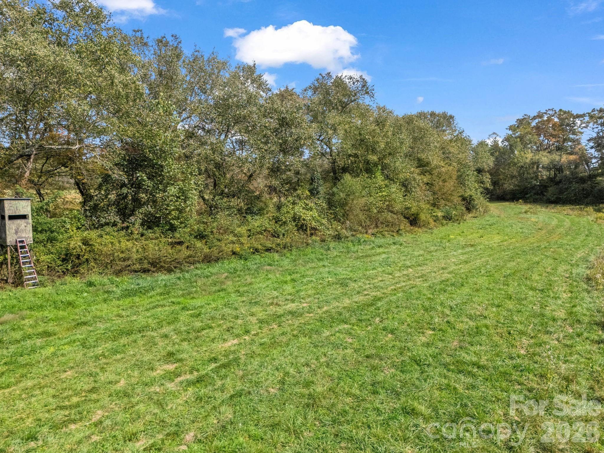 128 Cook Lane Mills River NC 28759