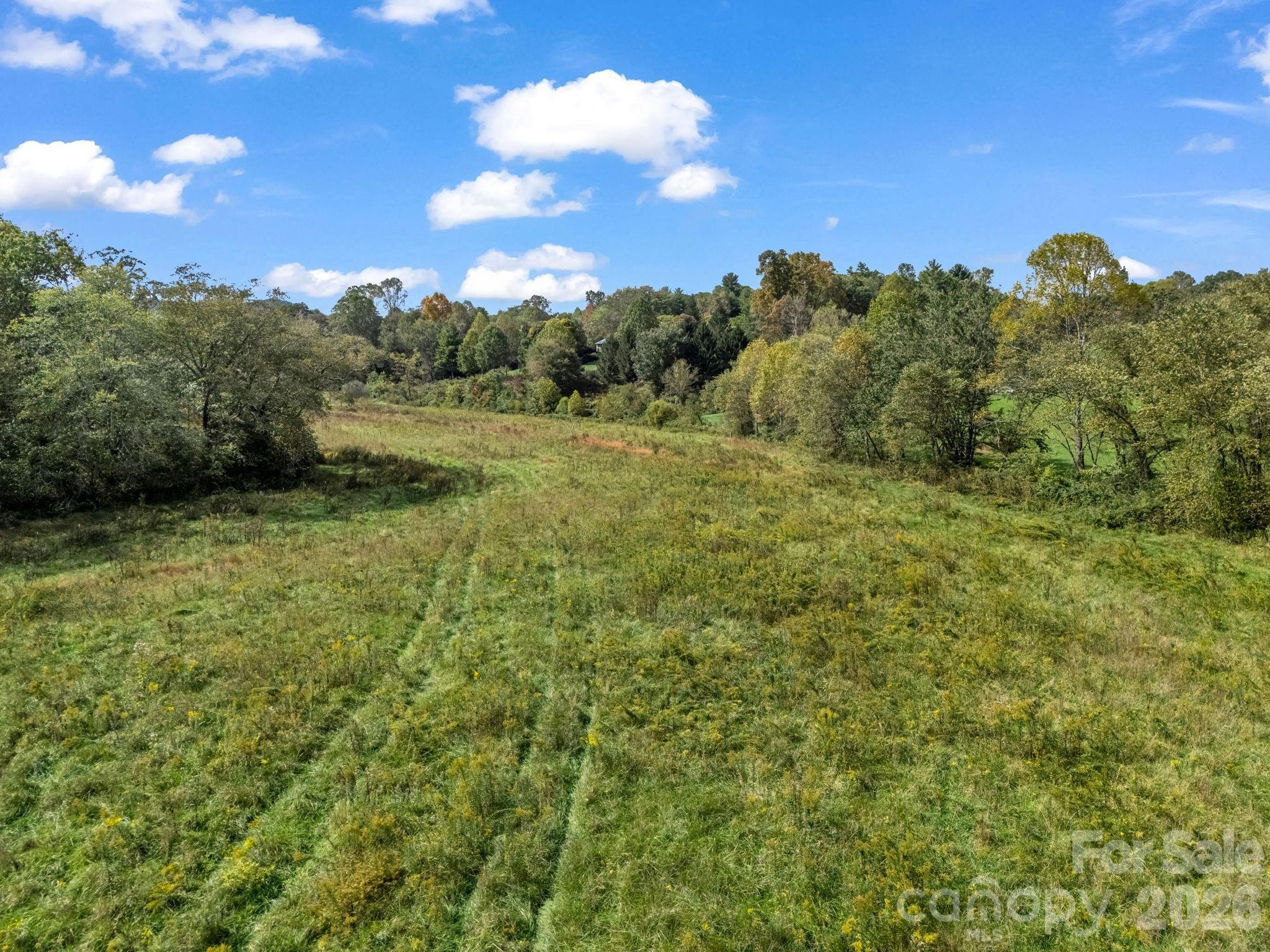 128 Cook Lane Mills River NC 28759