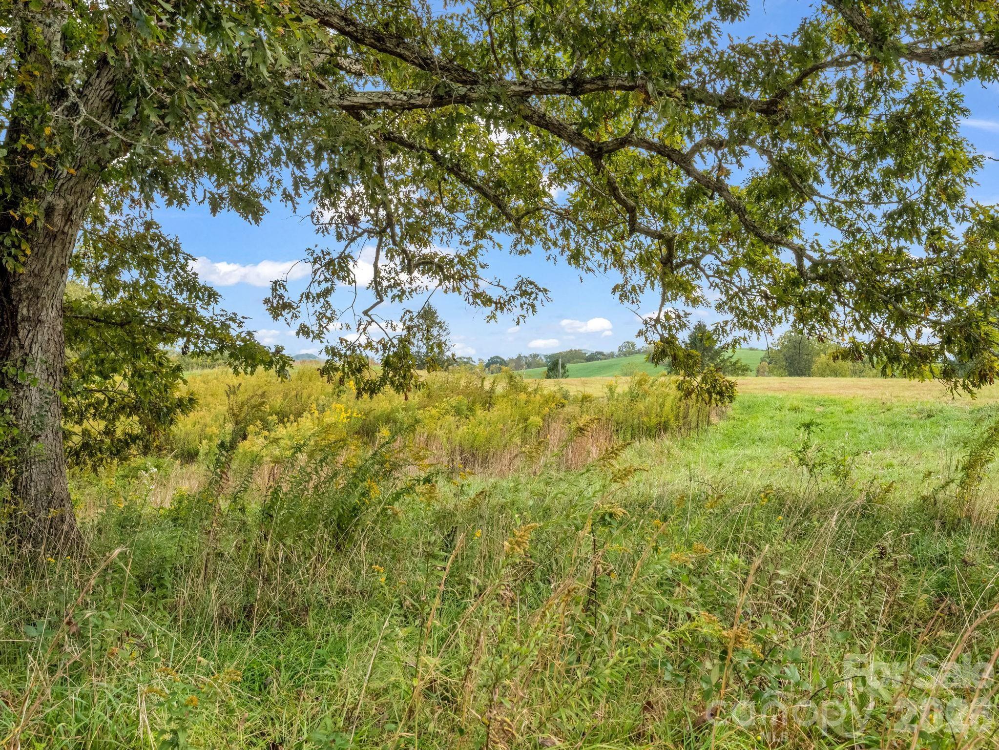 128 Cook Lane Mills River NC 28759