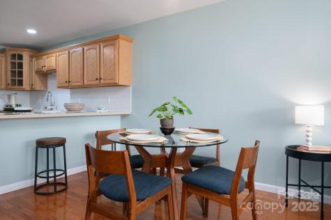 19 Kirby Road Asheville NC 28806