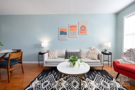 19 Kirby Road Asheville NC 28806