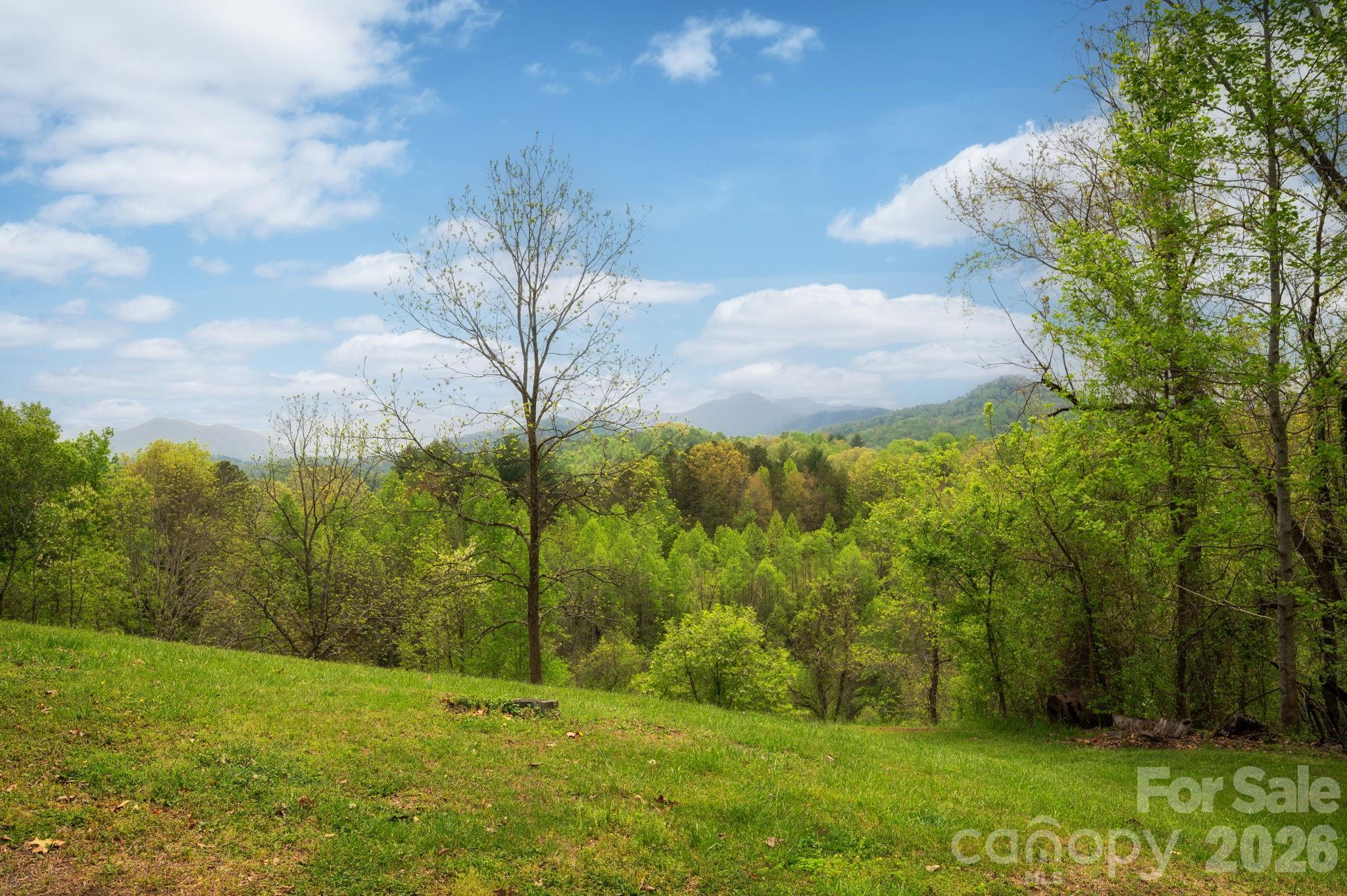 69 Heslar Way Marshall NC 28753