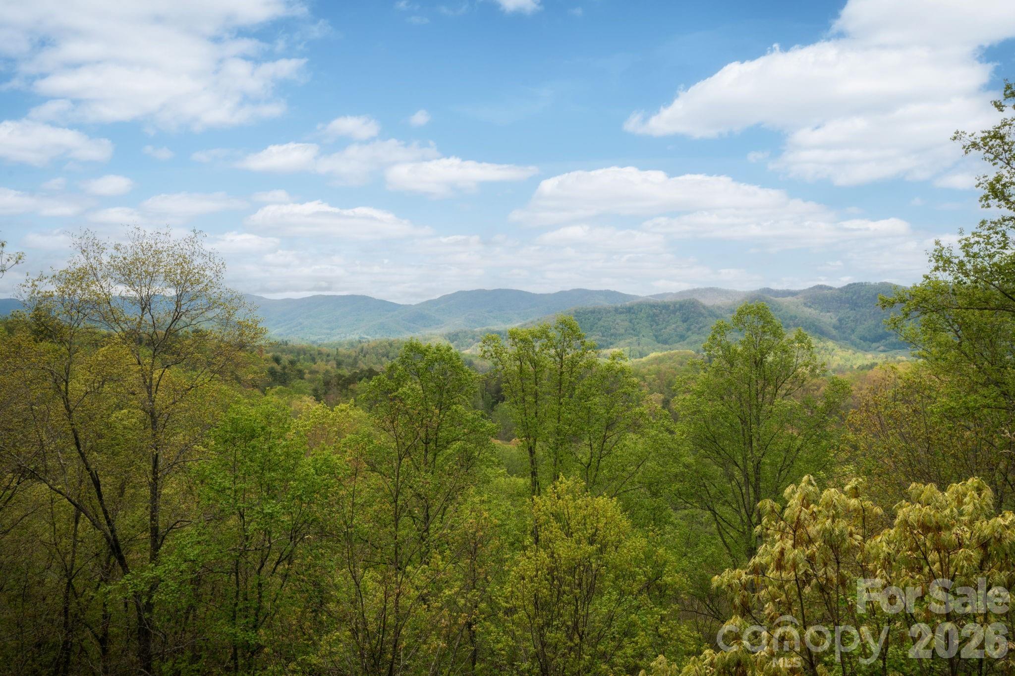69 Heslar Way Marshall NC 28753
