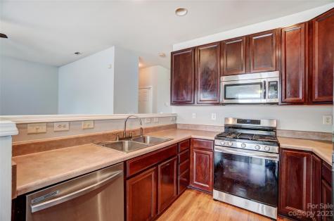 101 Morab Drive Stallings NC 28104