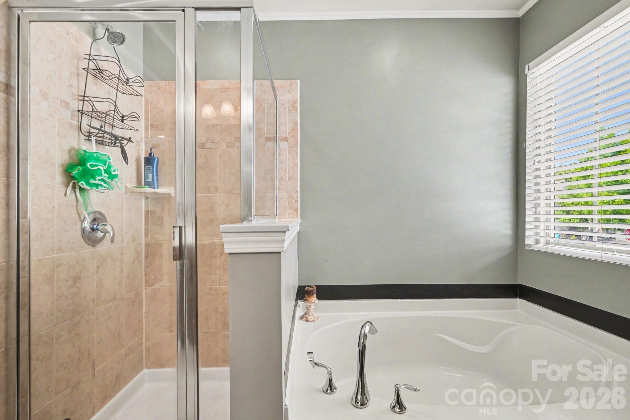 1109 Blackwaterside Drive Fort Mill SC 29715