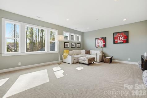 13124 Davidson Park Drive Davidson NC 28036