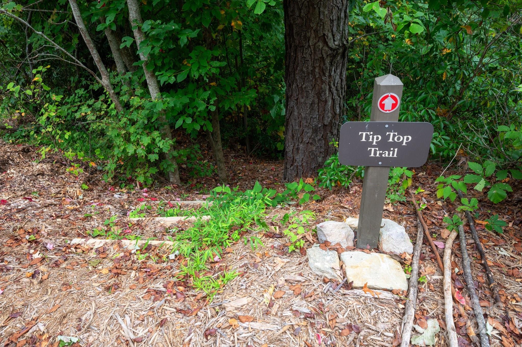 499 Warbler Lane Black Mountain NC 28711