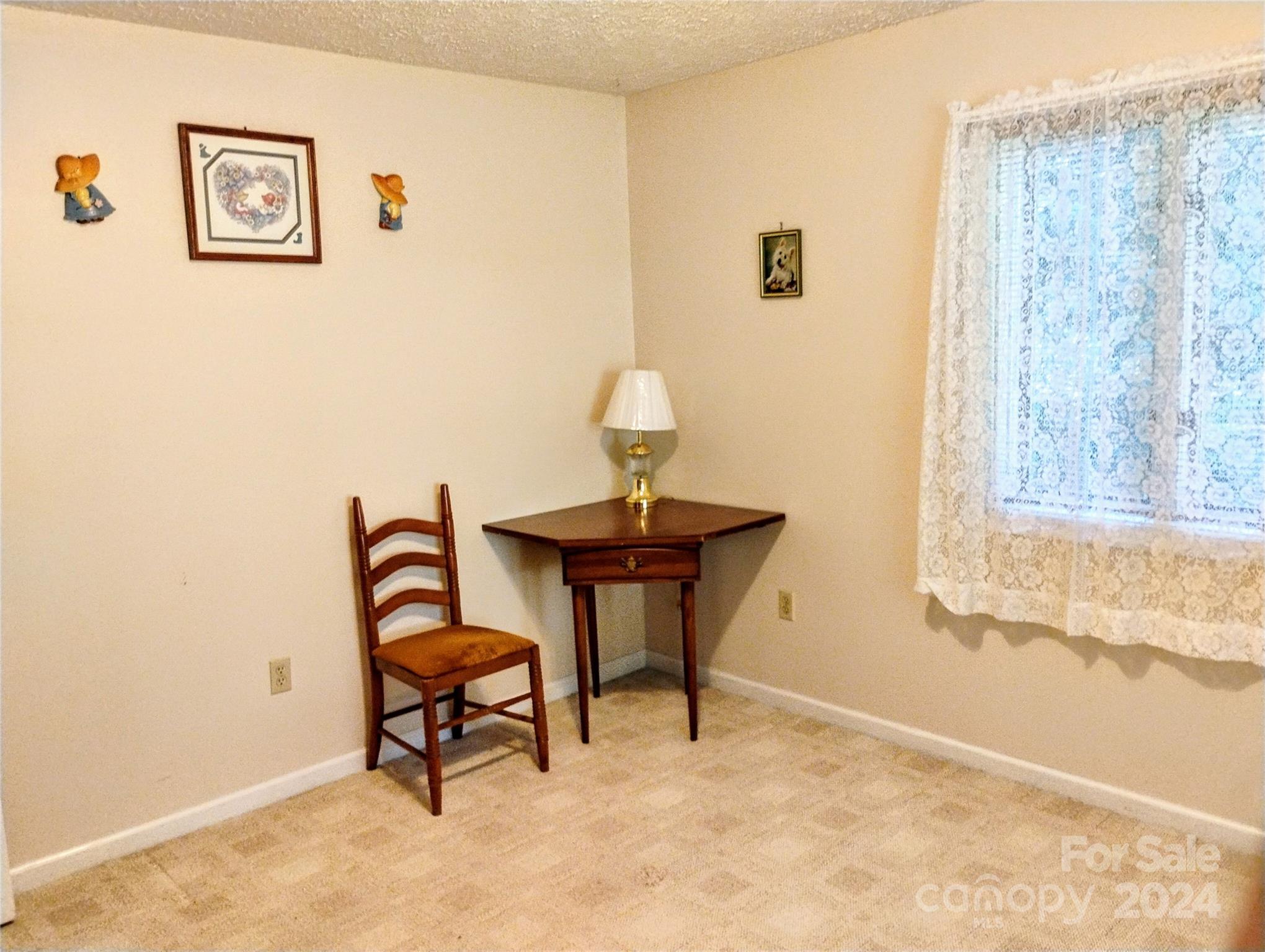 11 Wilkie Way Fletcher NC 28732