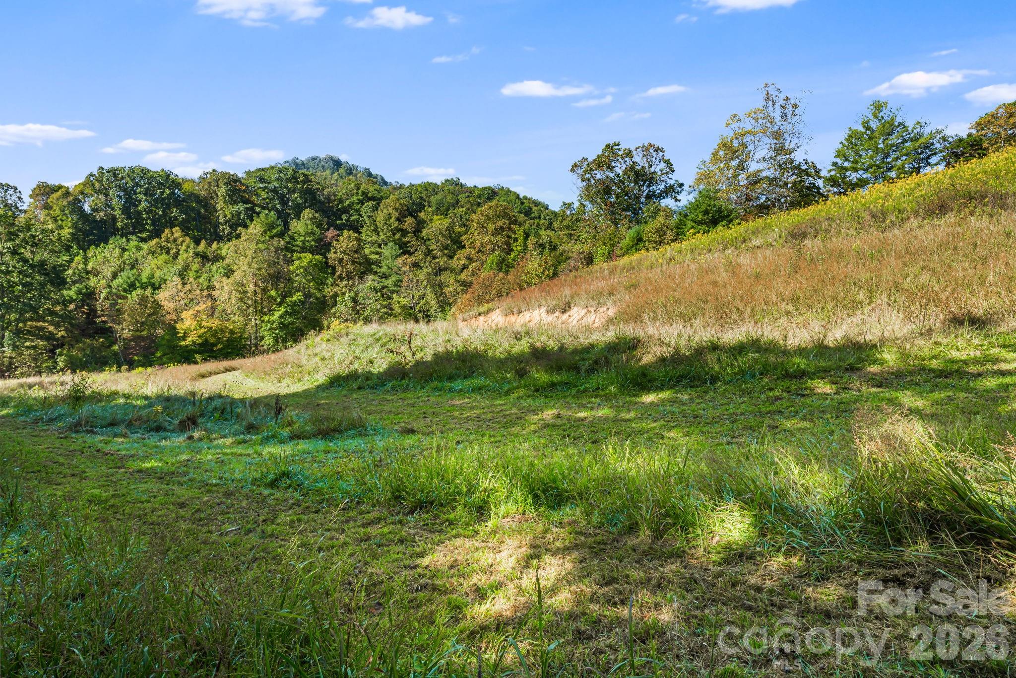 456 Maney Branch Road Burnsville NC 28714