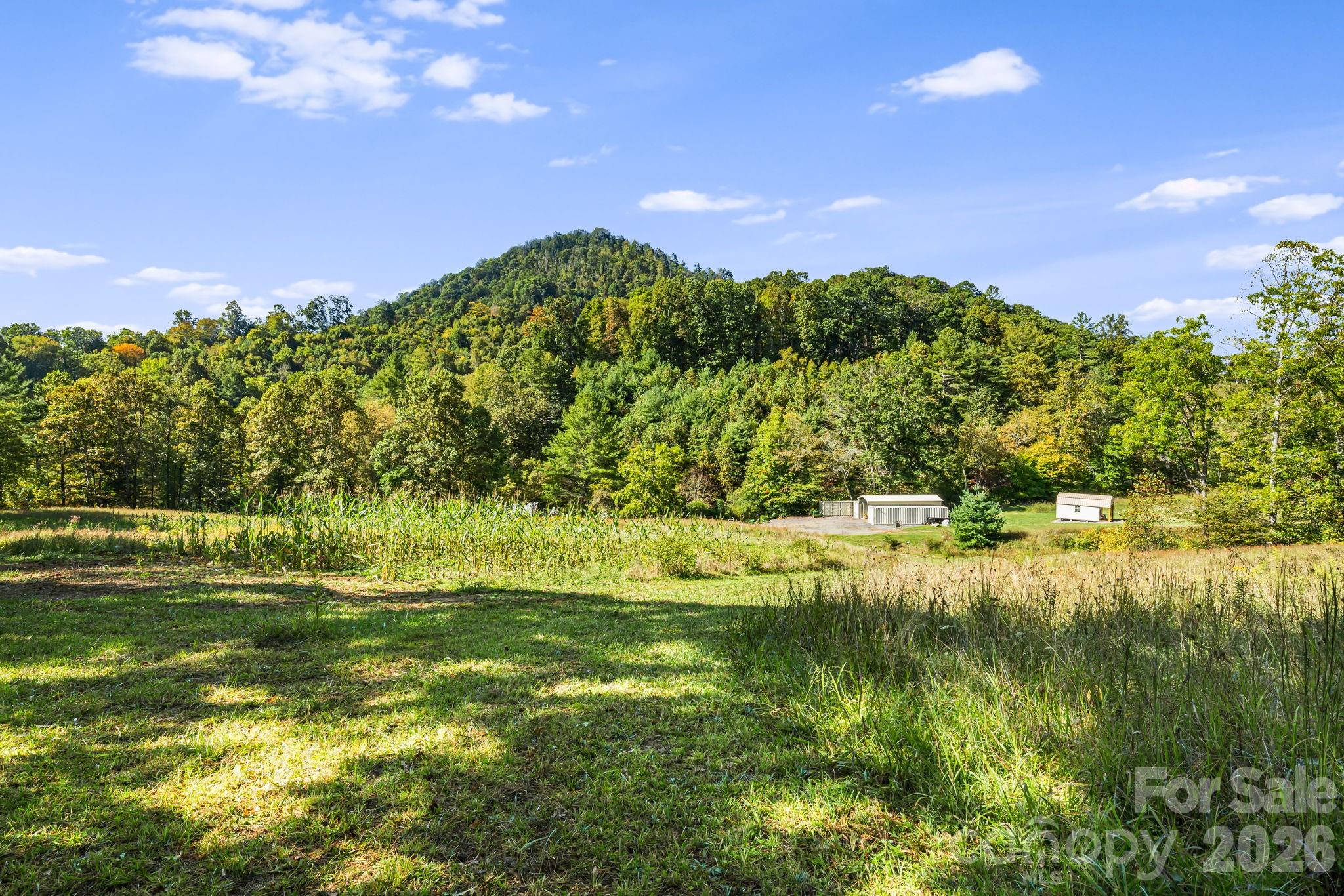 456 Maney Branch Road Burnsville NC 28714