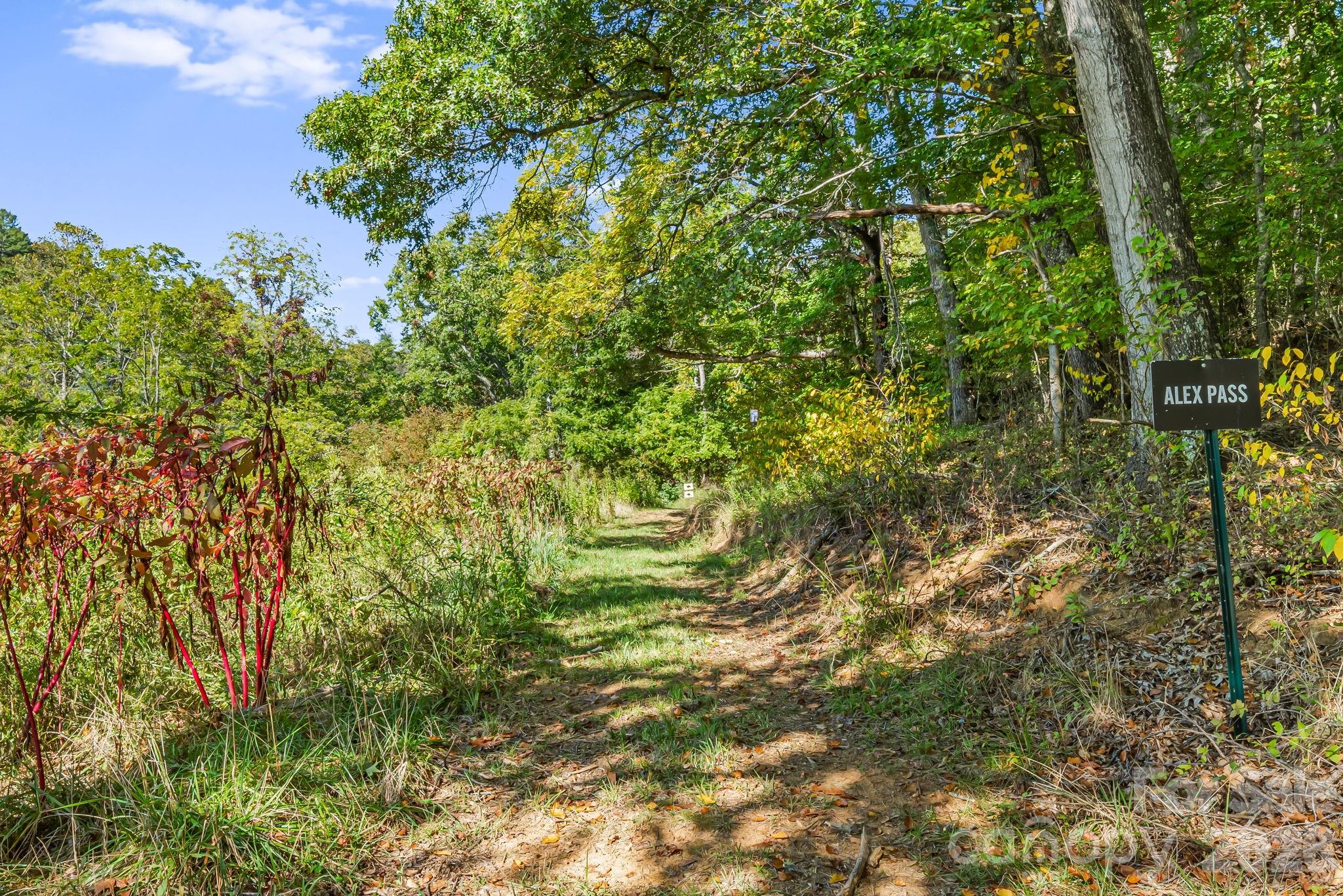 456 Maney Branch Road Burnsville NC 28714