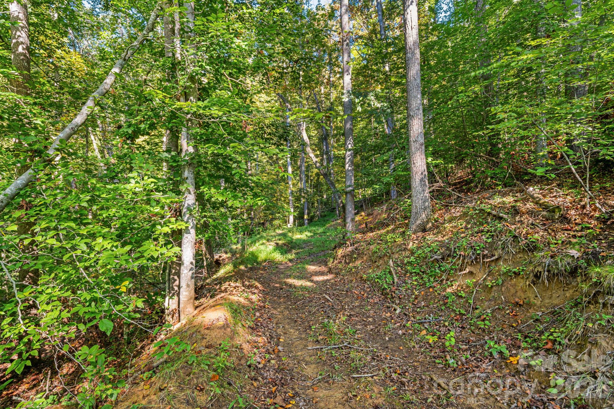 456 Maney Branch Road Burnsville NC 28714