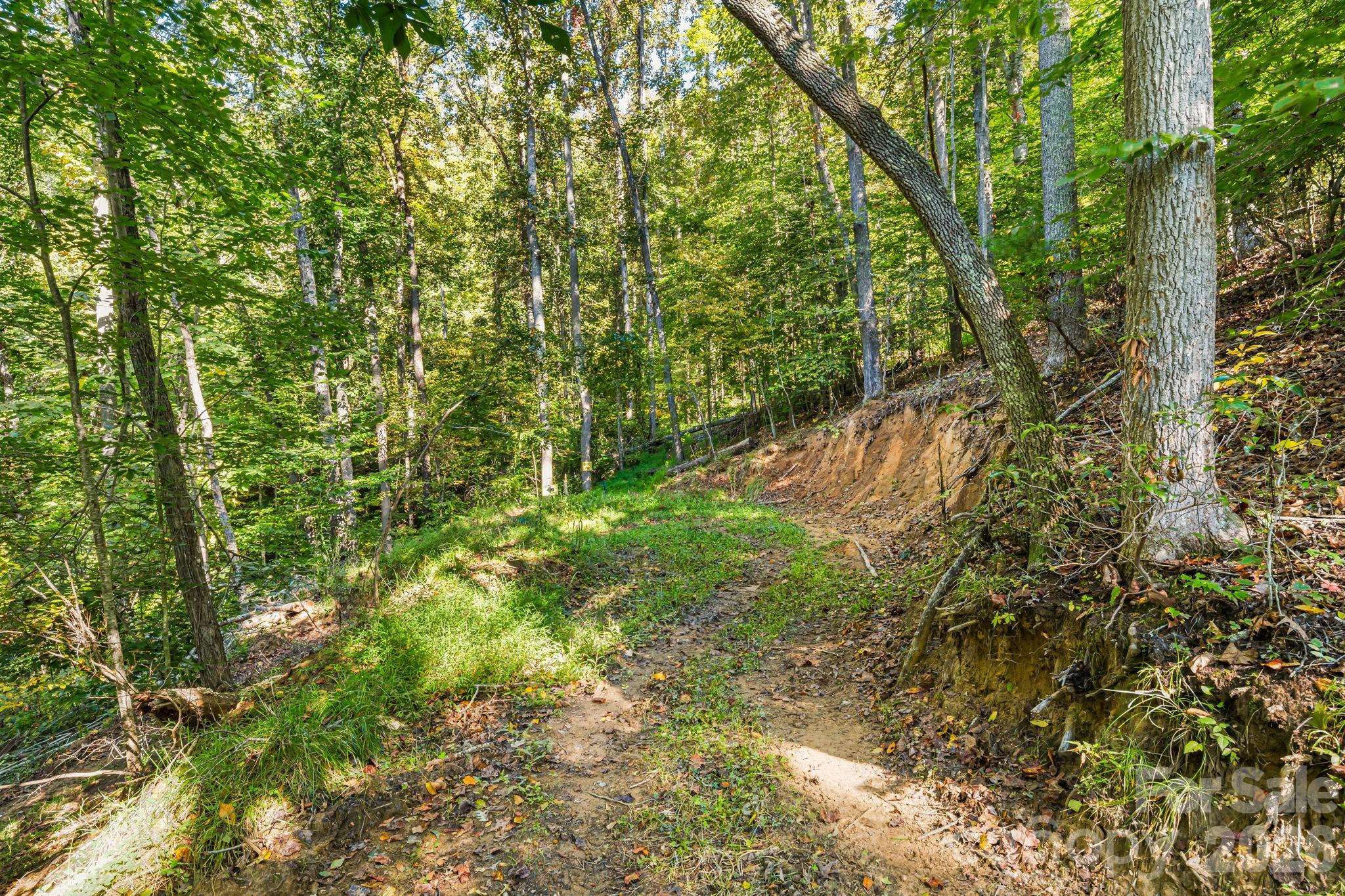 456 Maney Branch Road Burnsville NC 28714