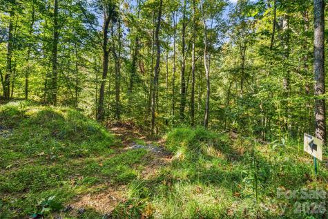 456 Maney Branch Road Burnsville NC 28714