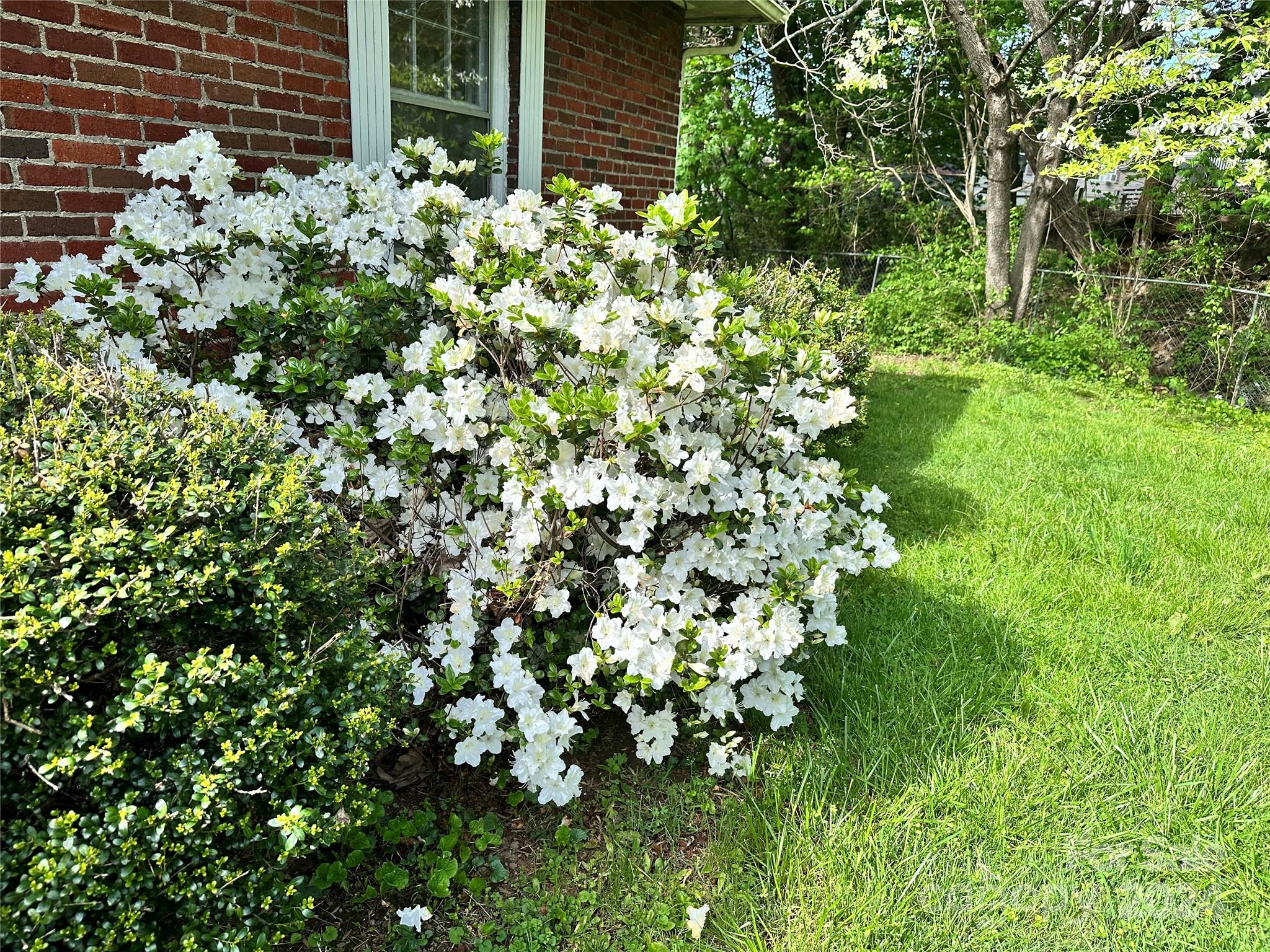 119 Powell Street Swannanoa NC 28778