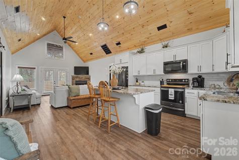 79 Abbey View Road Bryson City NC 28713