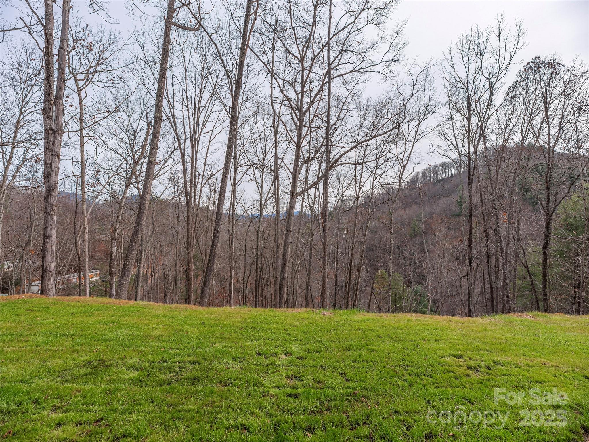 55 Dean Riddle Drive Waynesville NC 28785