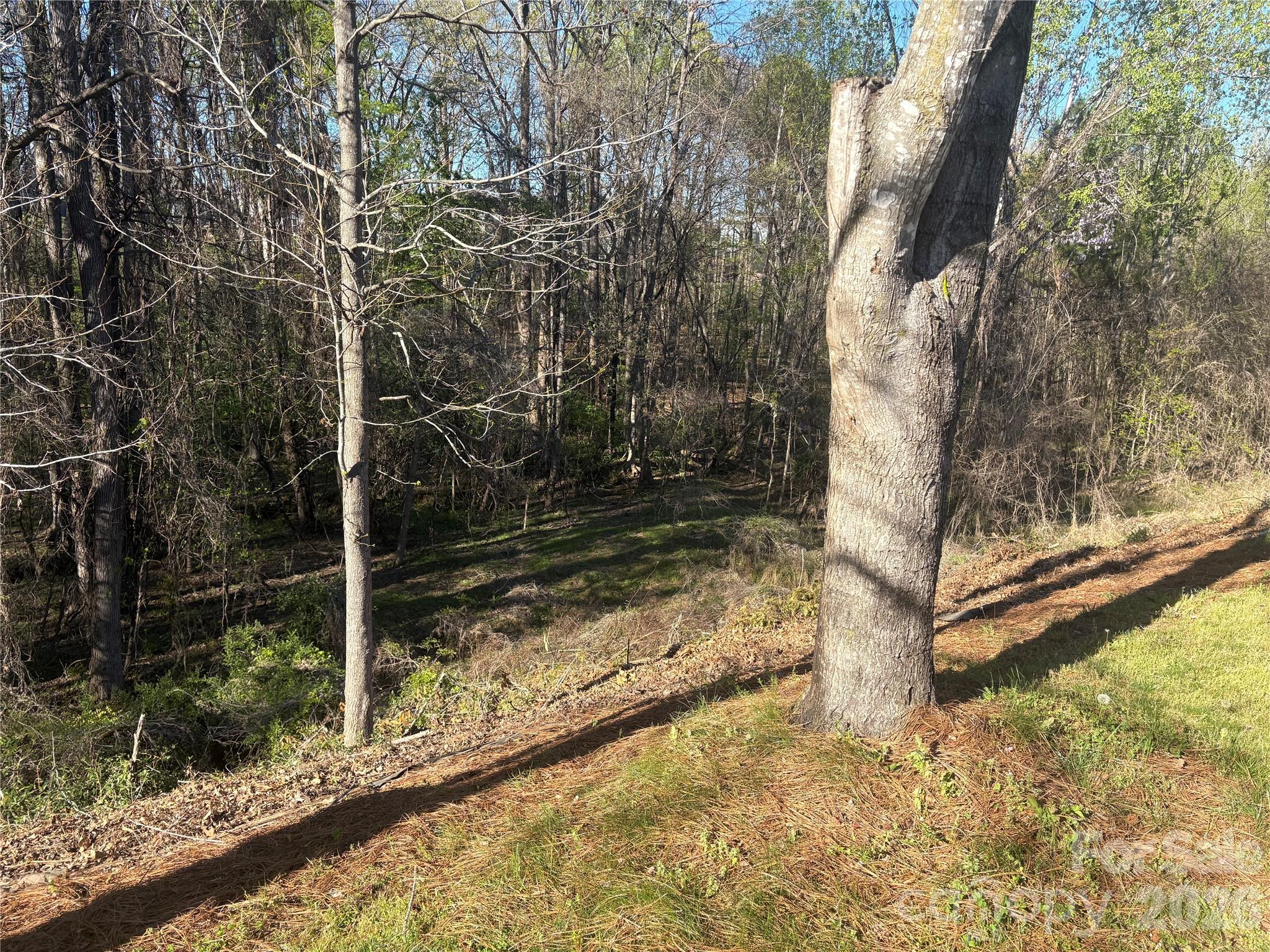 241 Loch Stone Street Fort Mill SC 29715
