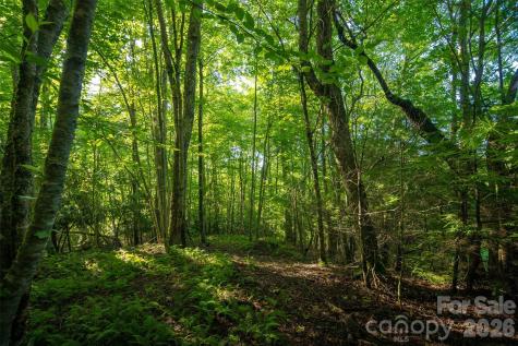 Tbd Boulder Creek Drive Boone NC 28607