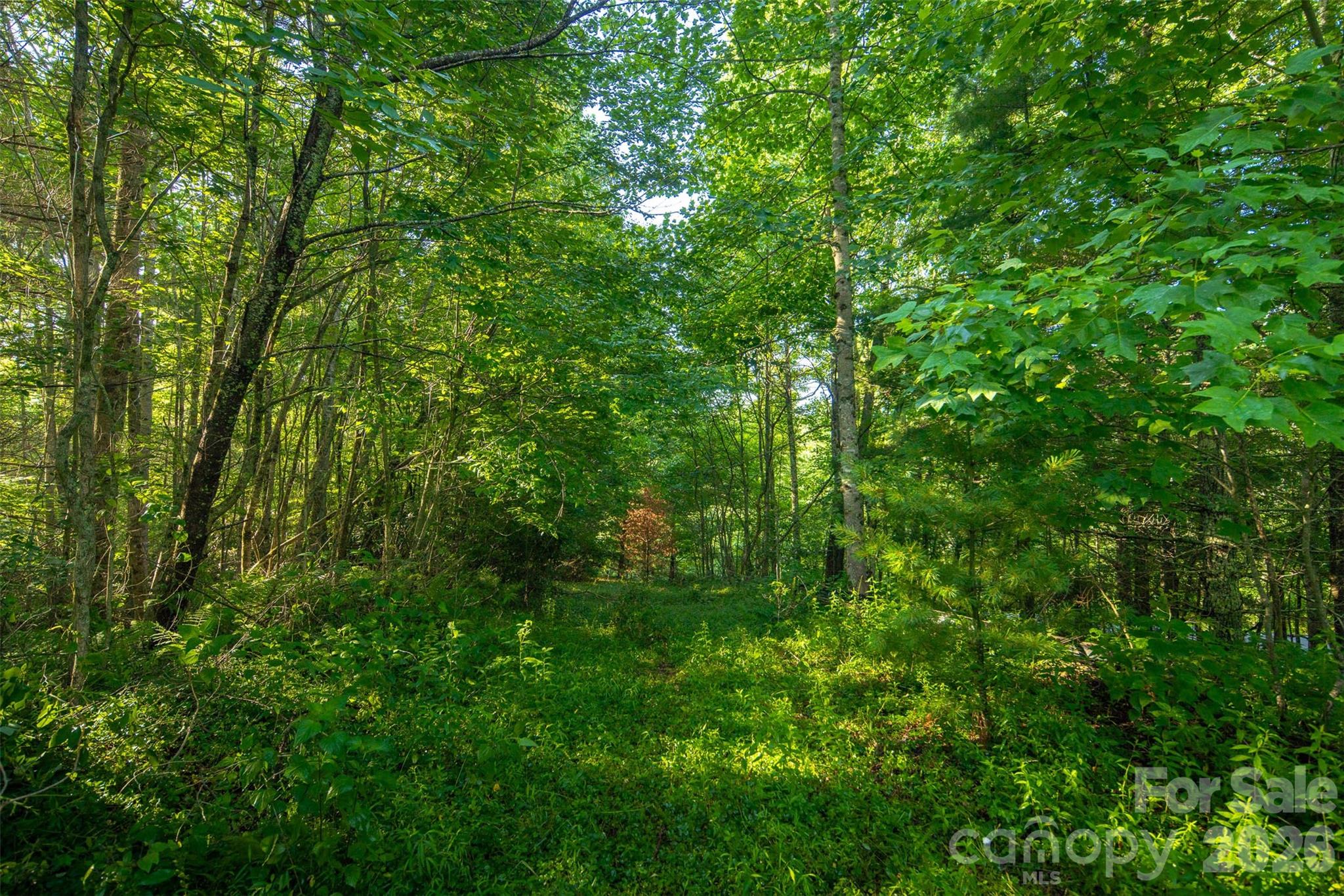 Tbd Boulder Creek Drive Boone NC 28607