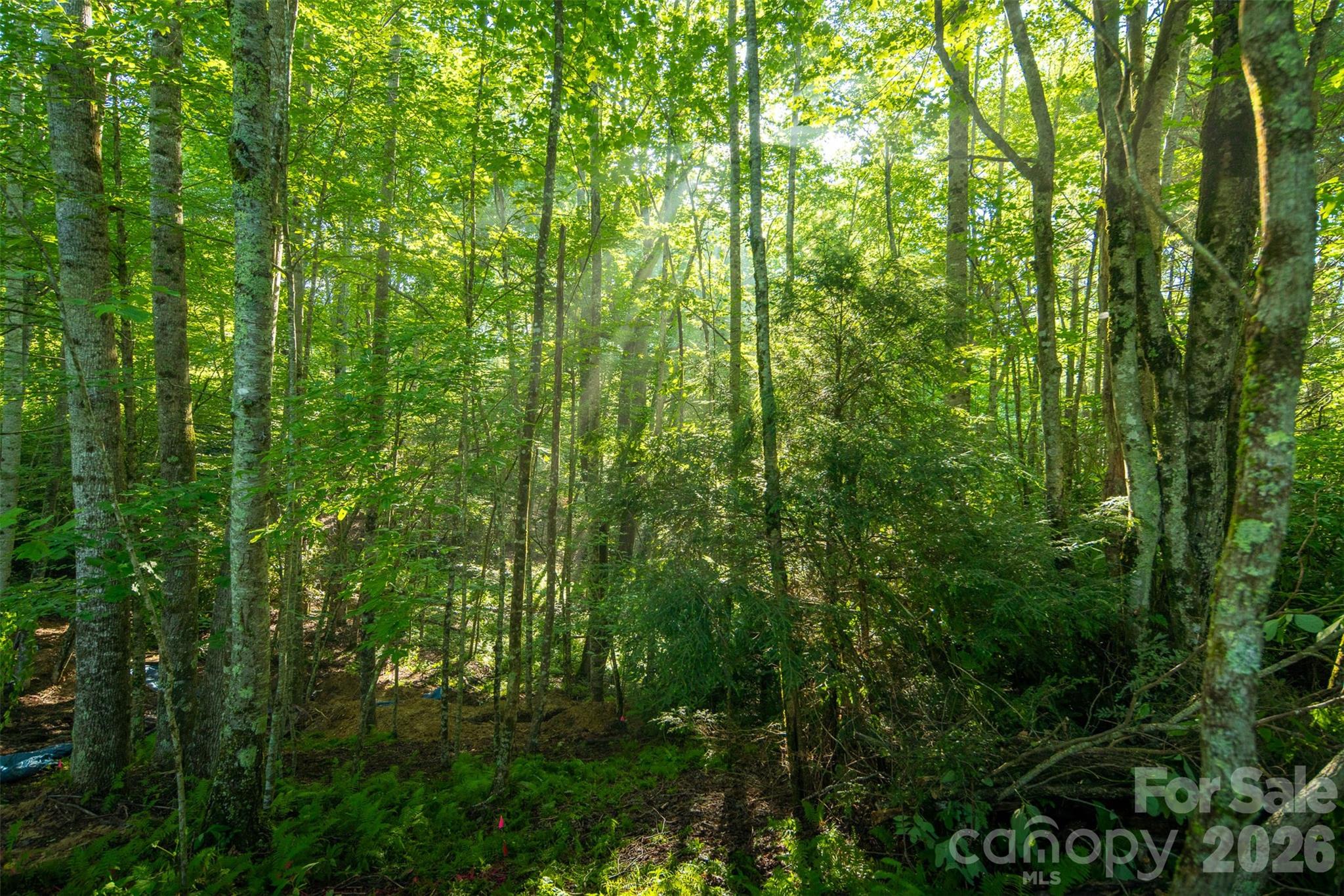 Tbd Boulder Creek Drive Boone NC 28607