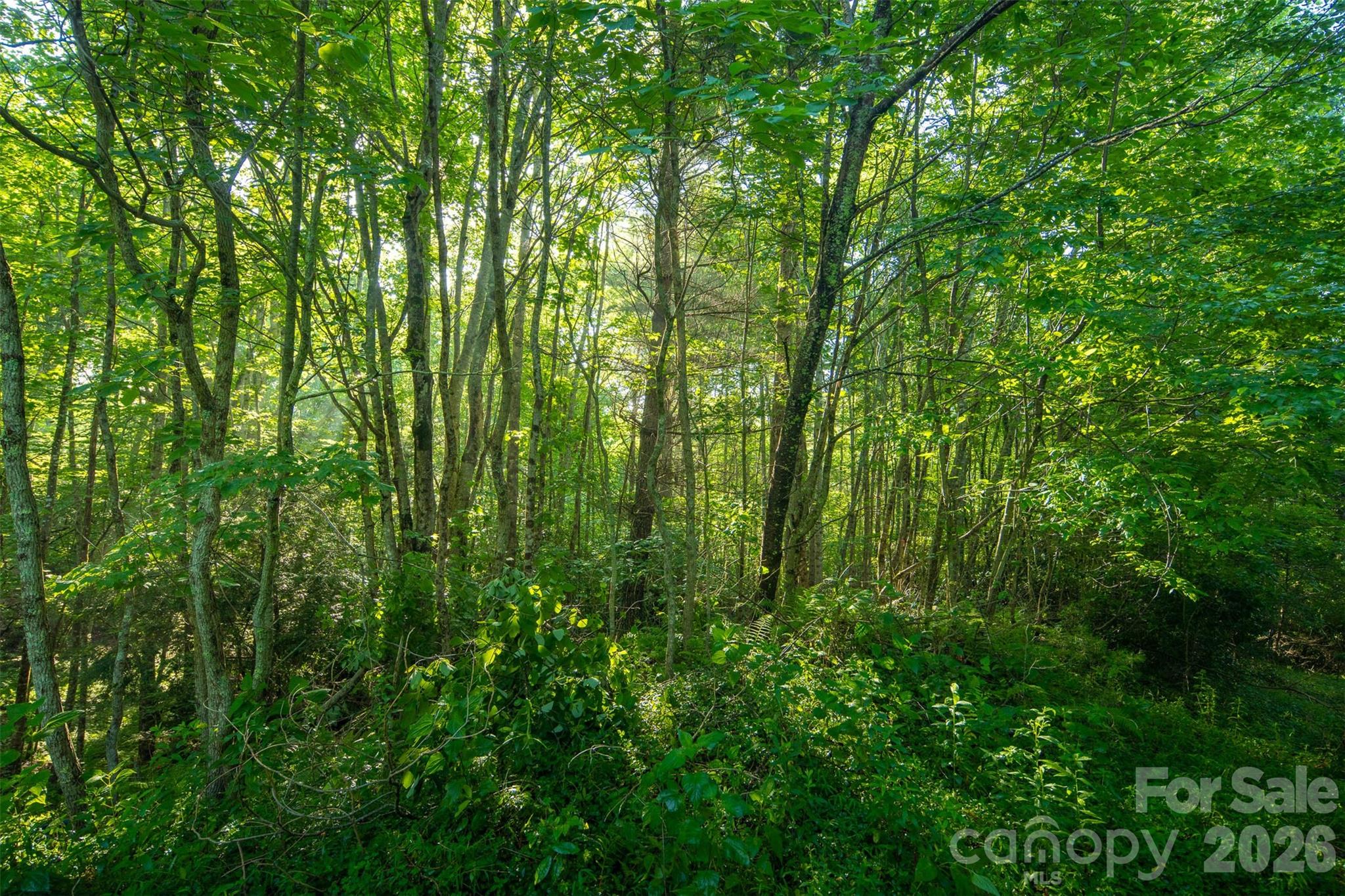Tbd Boulder Creek Drive Boone NC 28607