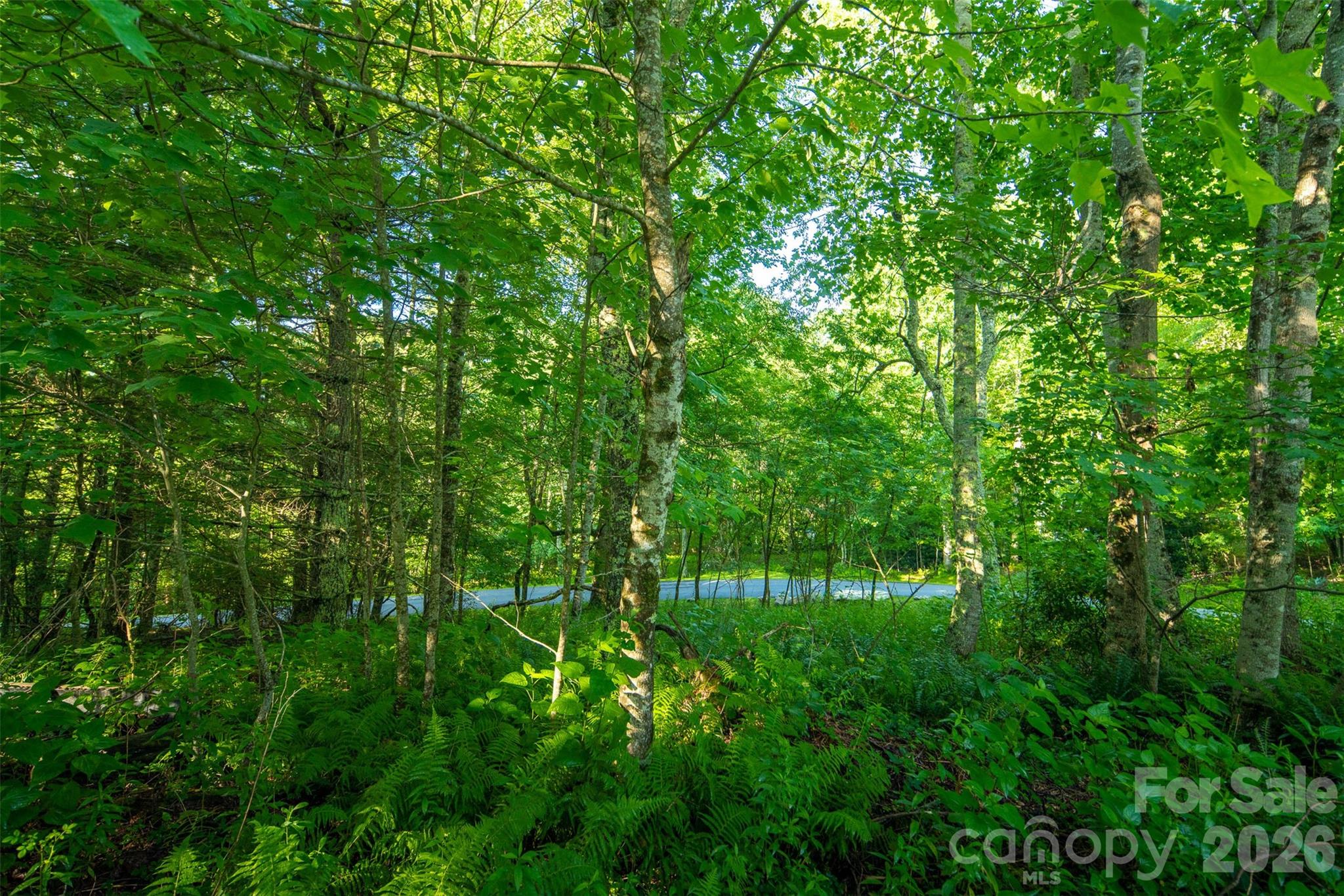 Tbd Boulder Creek Drive Boone NC 28607