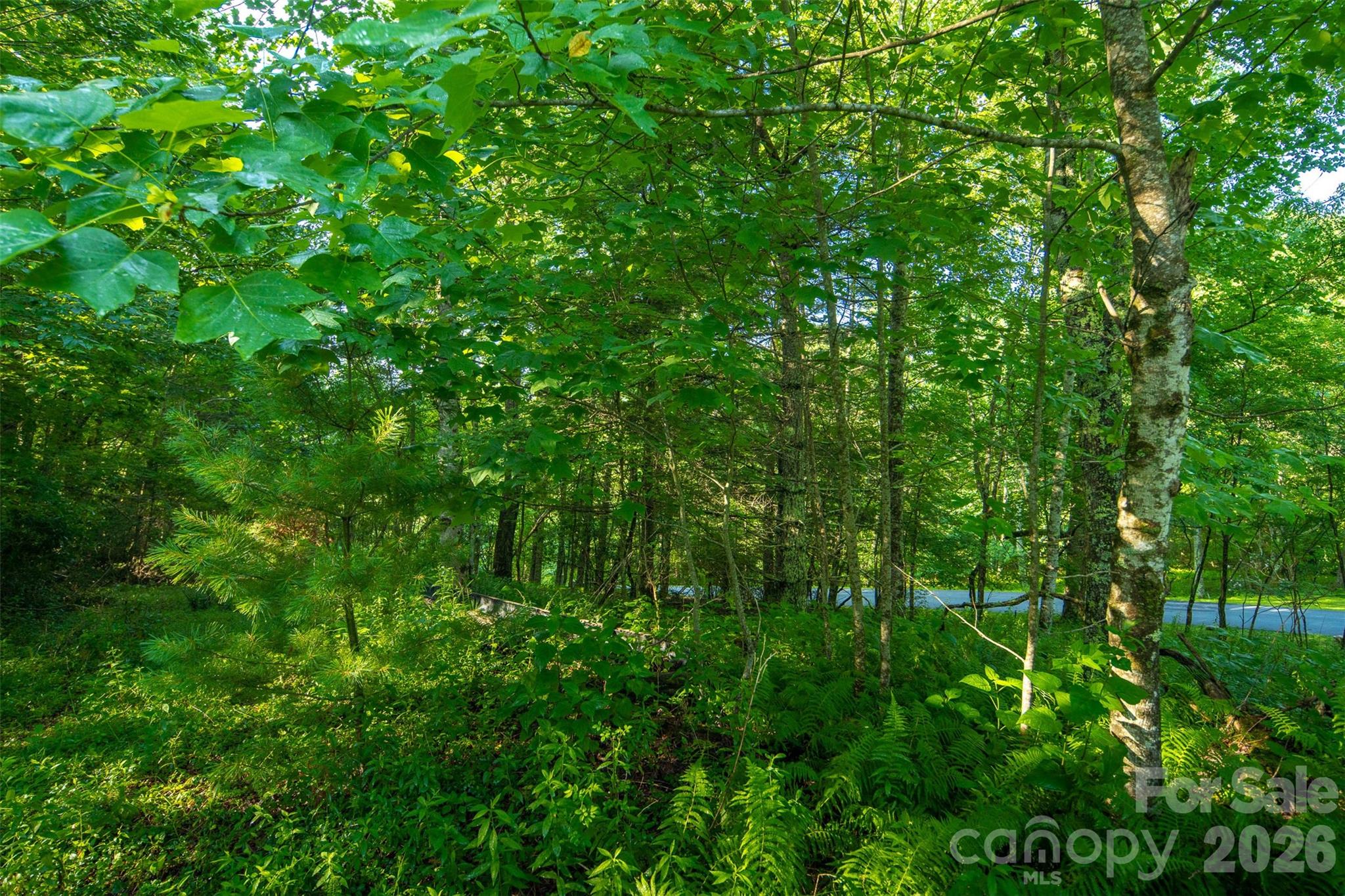Tbd Boulder Creek Drive Boone NC 28607