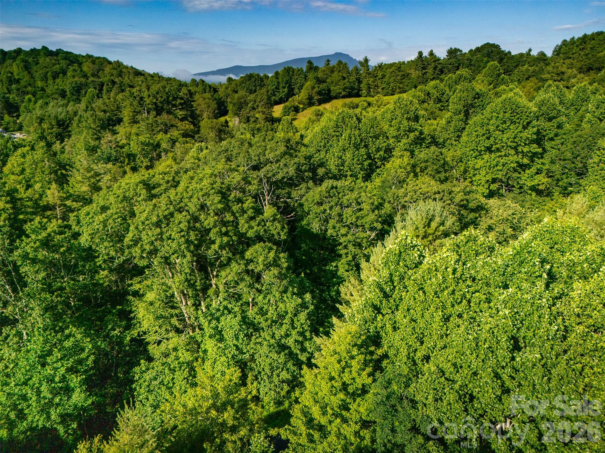 Tbd Boulder Creek Drive Boone NC 28607