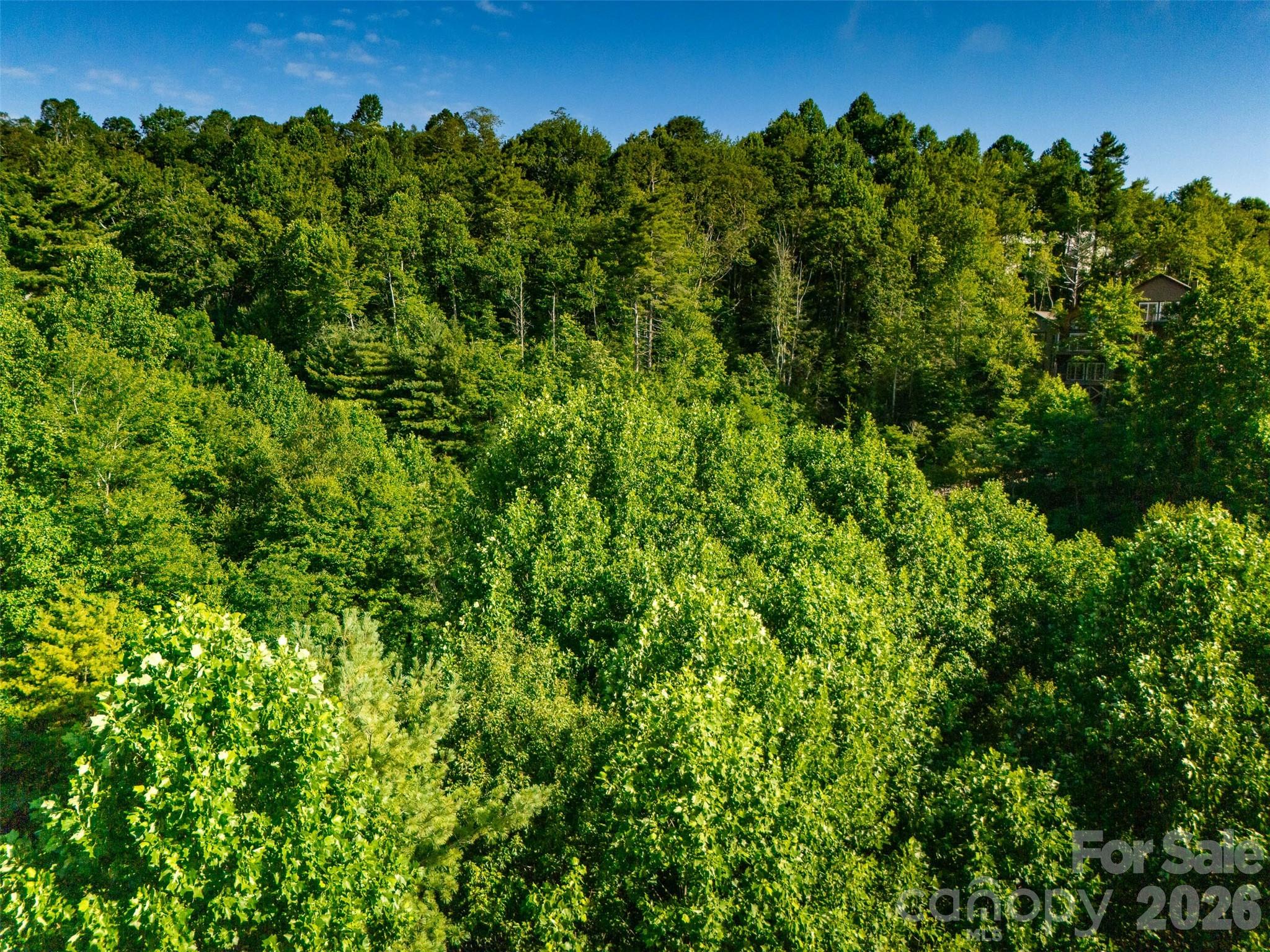 Tbd Boulder Creek Drive Boone NC 28607