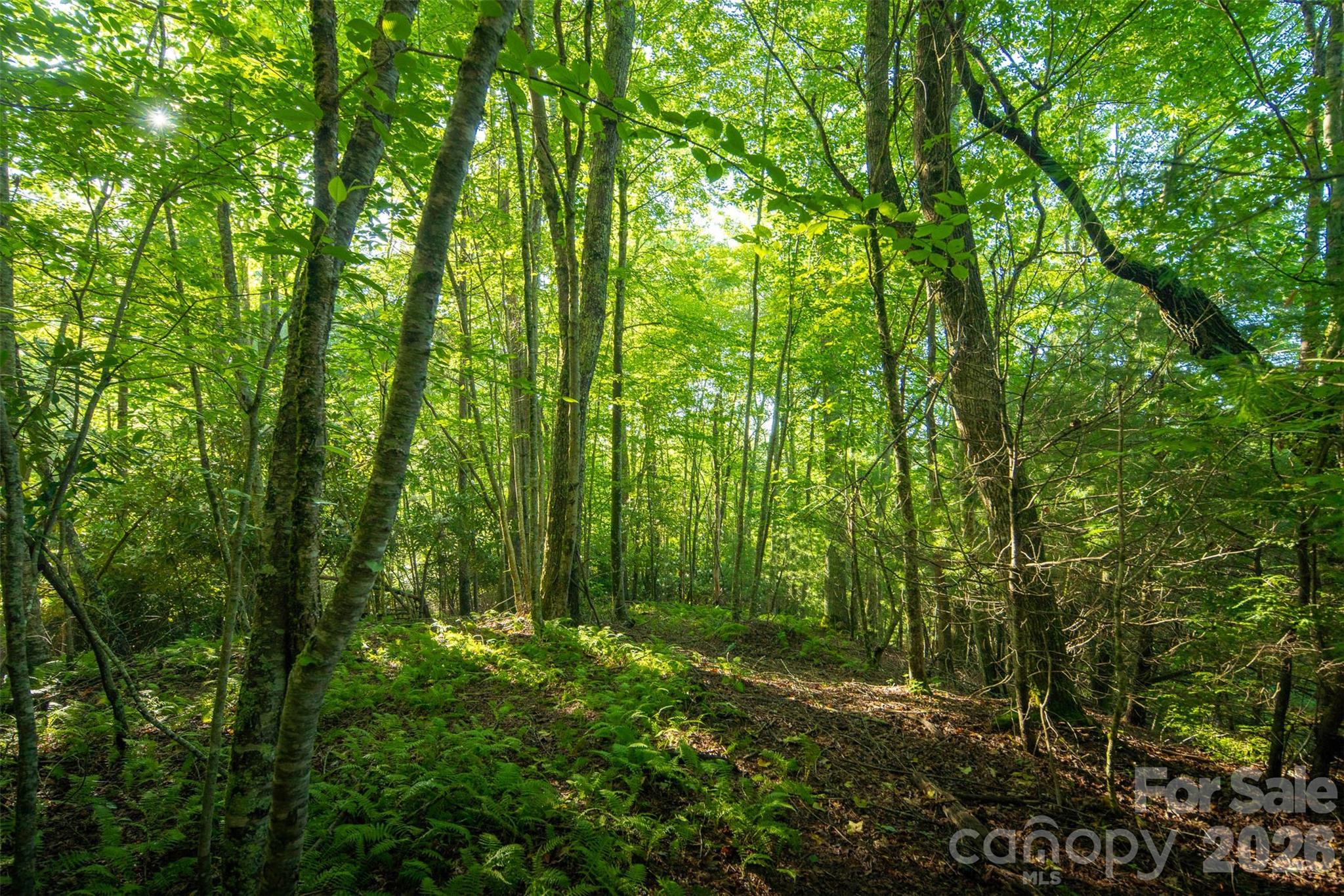 Tbd Boulder Creek Drive Boone NC 28607