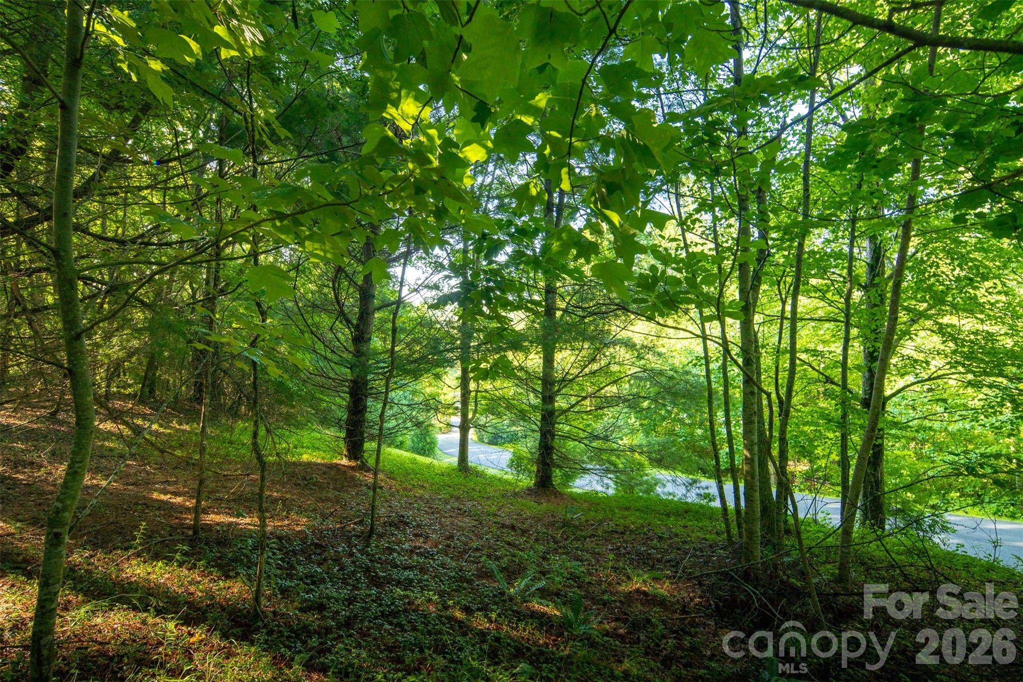 Tbd Boulder Creek Drive Boone NC 28607