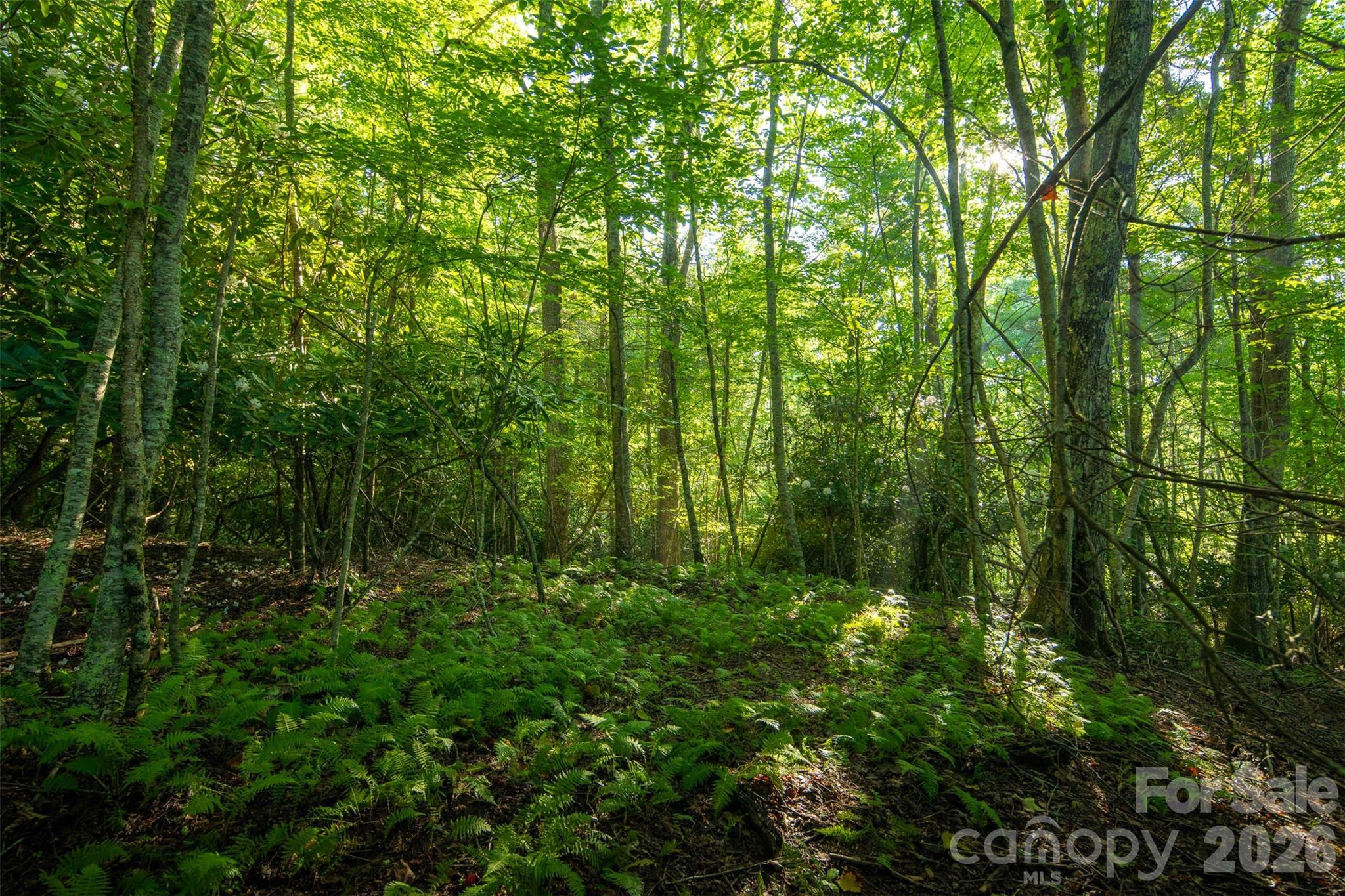Tbd Boulder Creek Drive Boone NC 28607