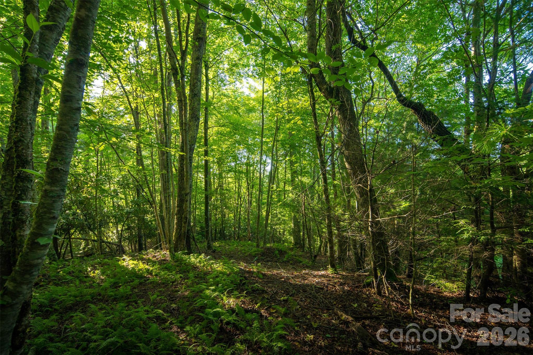 Tbd Boulder Creek Drive Boone NC 28607