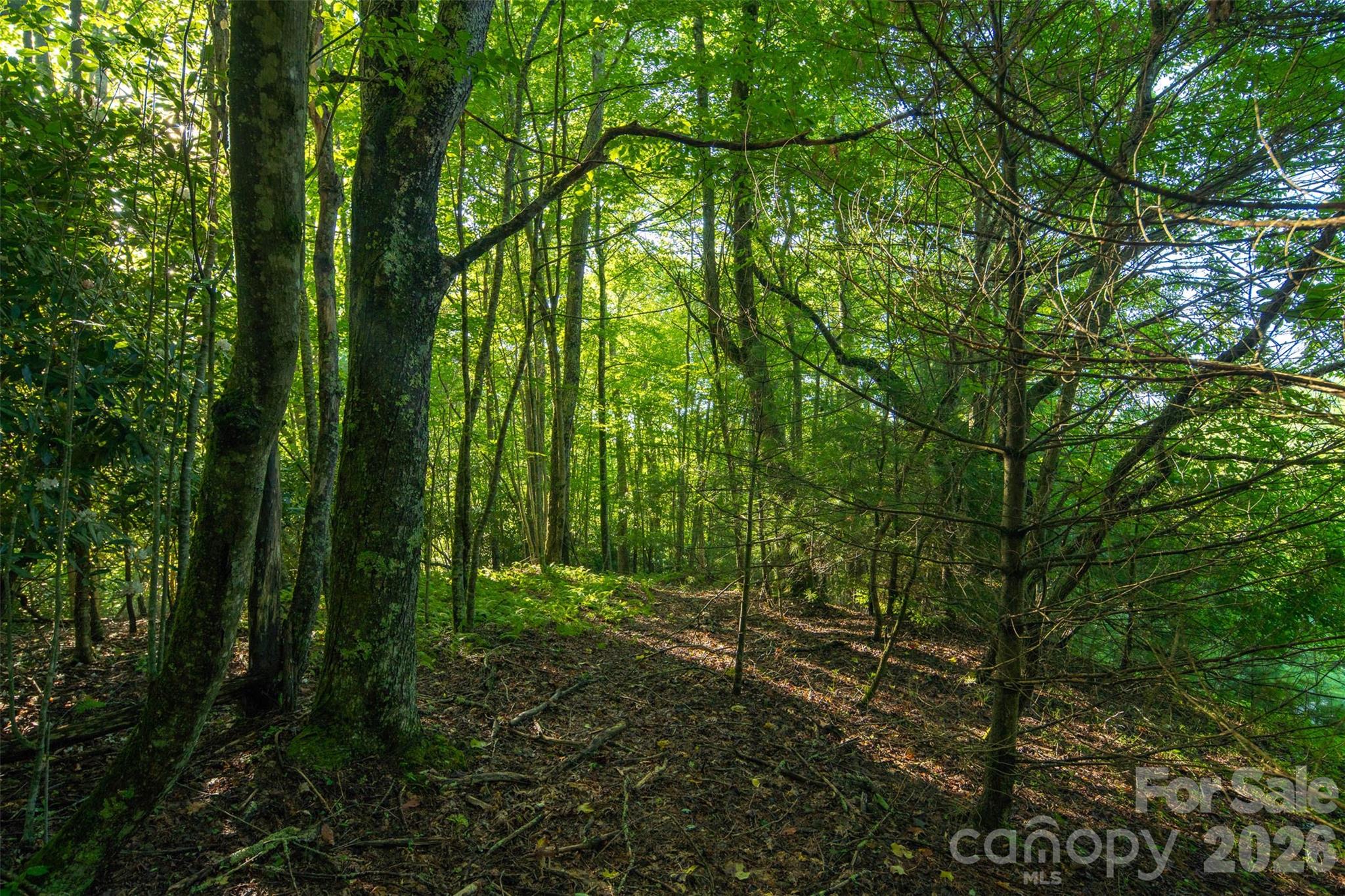 Tbd Boulder Creek Drive Boone NC 28607
