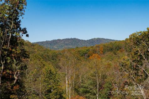 6 Laurel Trail Asheville NC 28803