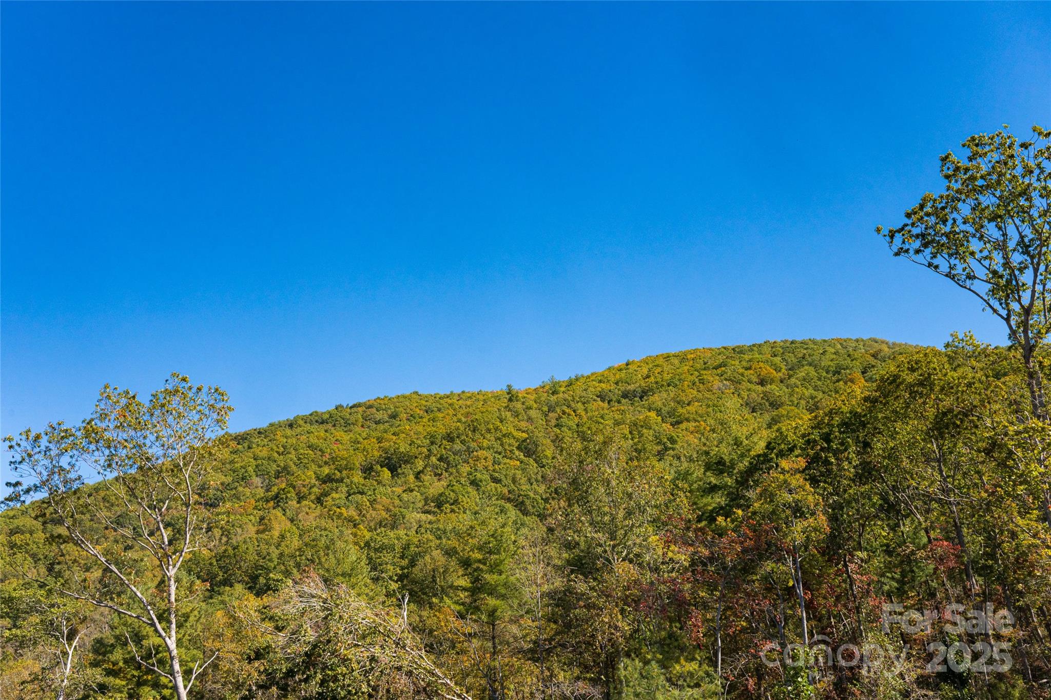 6 Laurel Trail Asheville NC 28803