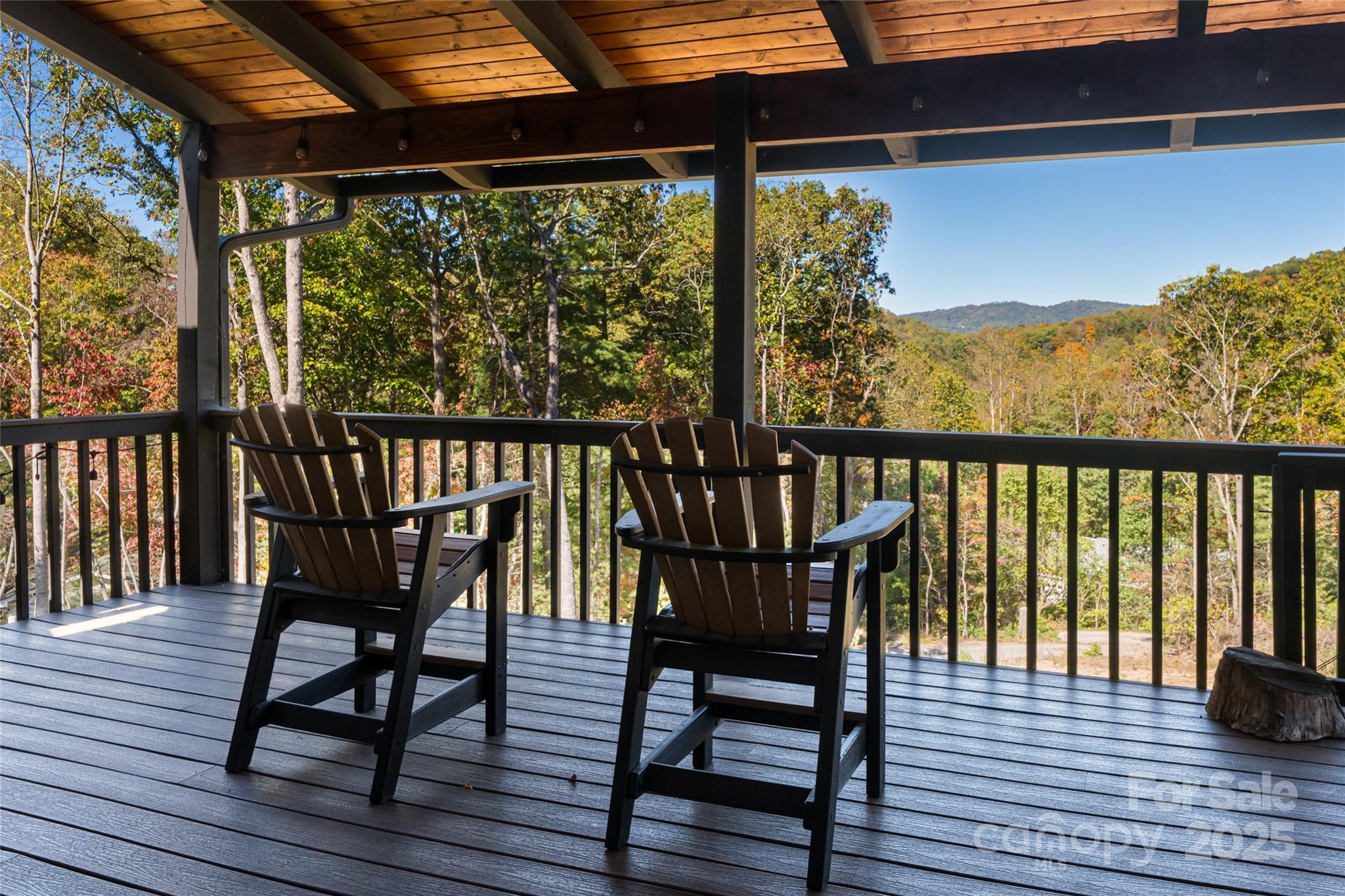 6 Laurel Trail Asheville NC 28803