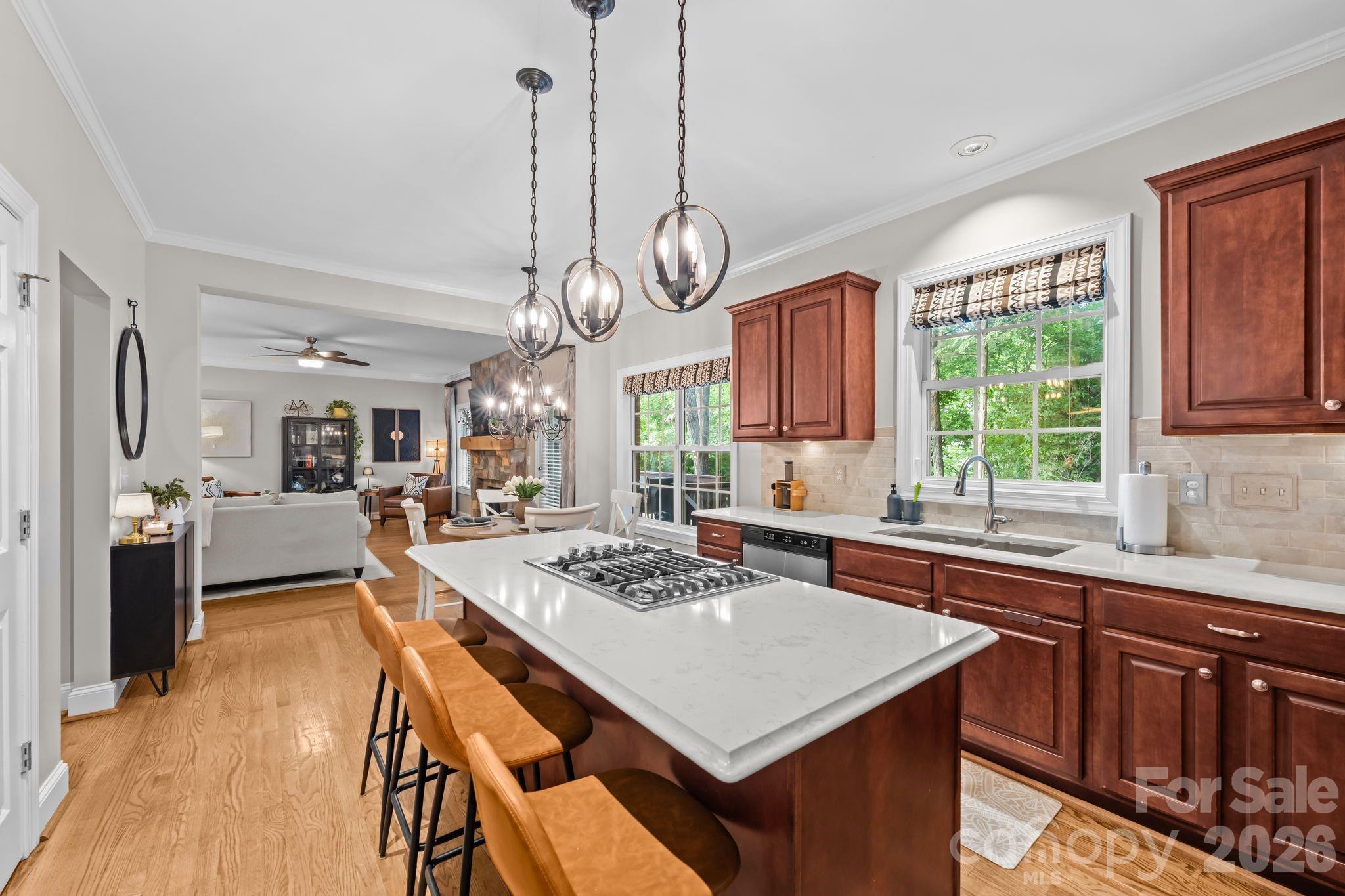 14003 Ballantyne Meadows Drive Charlotte NC 28277