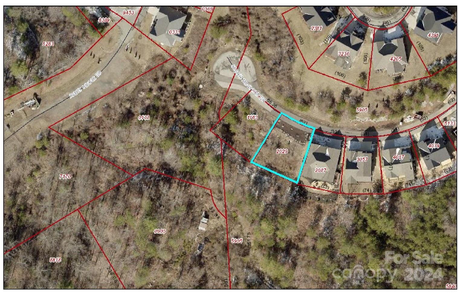 46 Scenic Mountain Drive Weaverville NC 28787