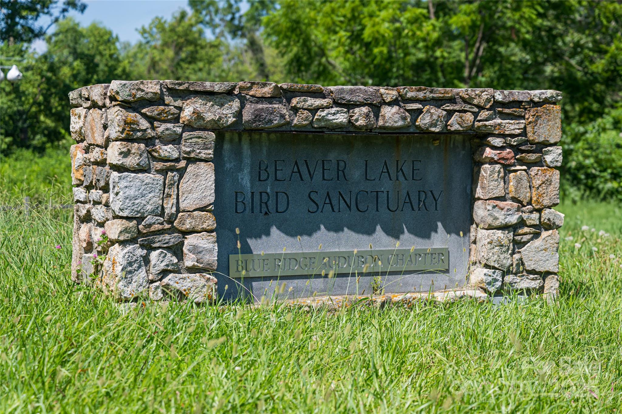 87 Shorewood Drive Asheville NC 28804