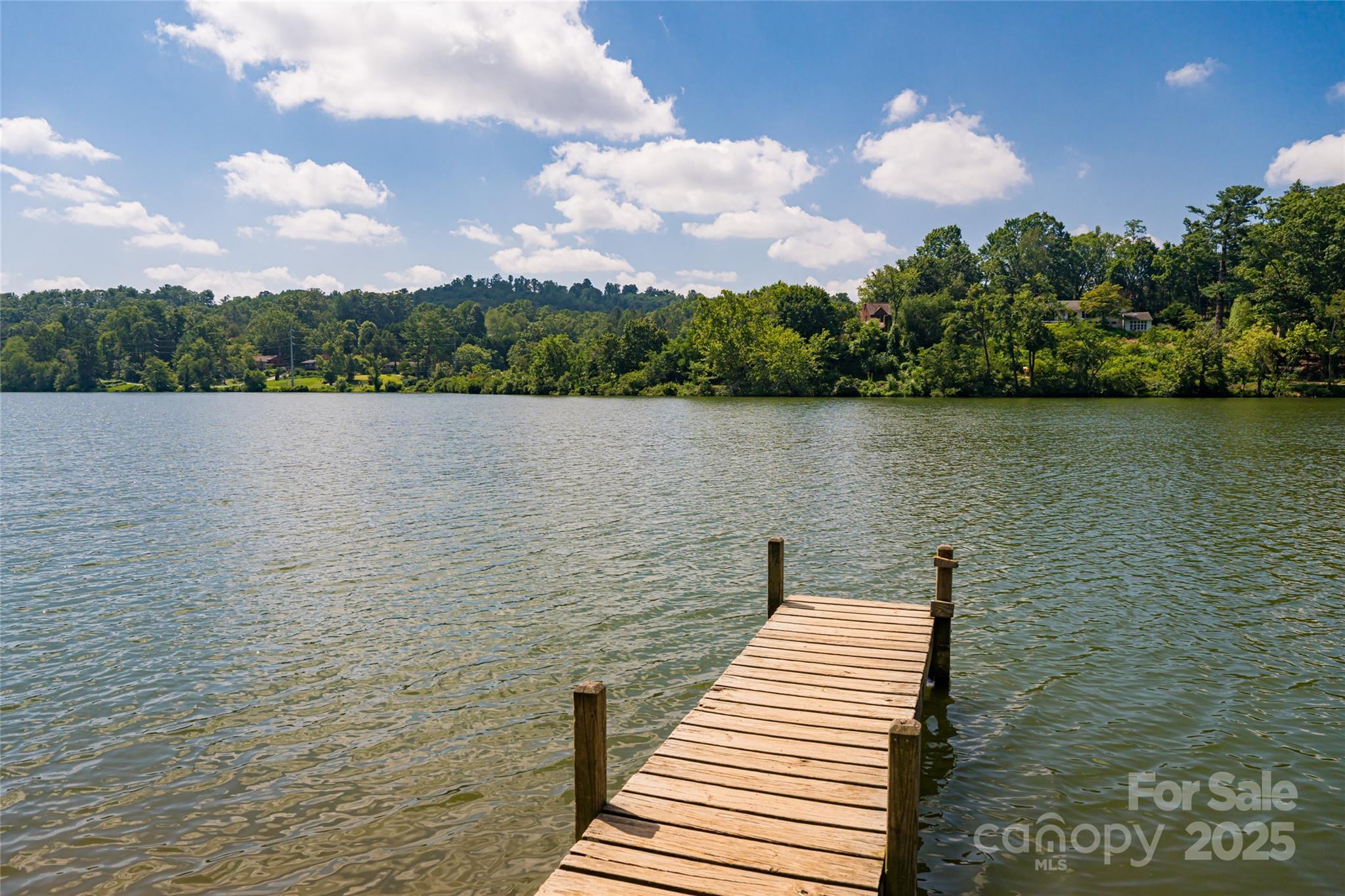 87 Shorewood Drive Asheville NC 28804