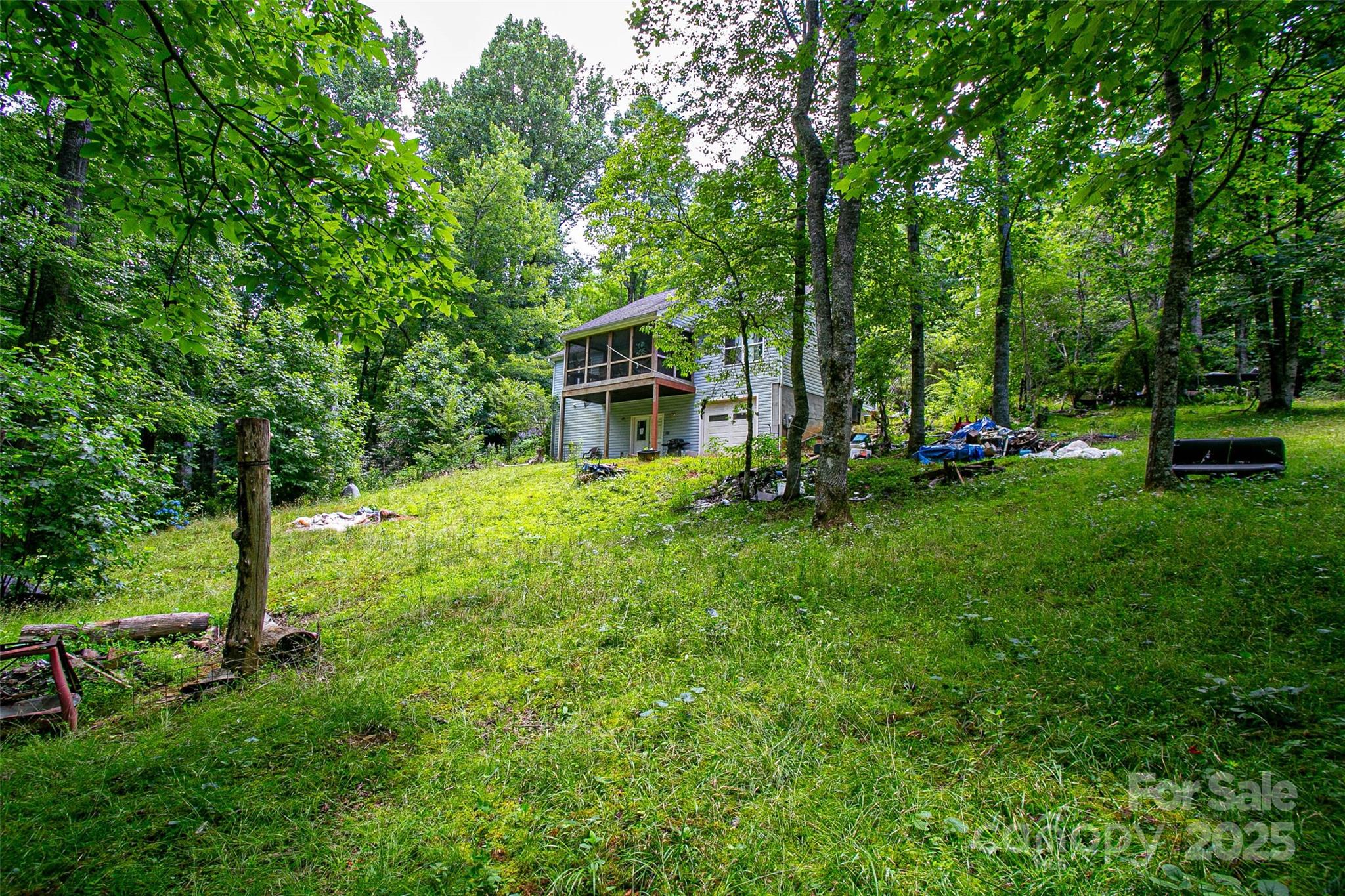 164 Horseplay Lane Lake Toxaway NC 28747