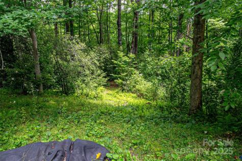 164 Horseplay Lane Lake Toxaway NC 28747